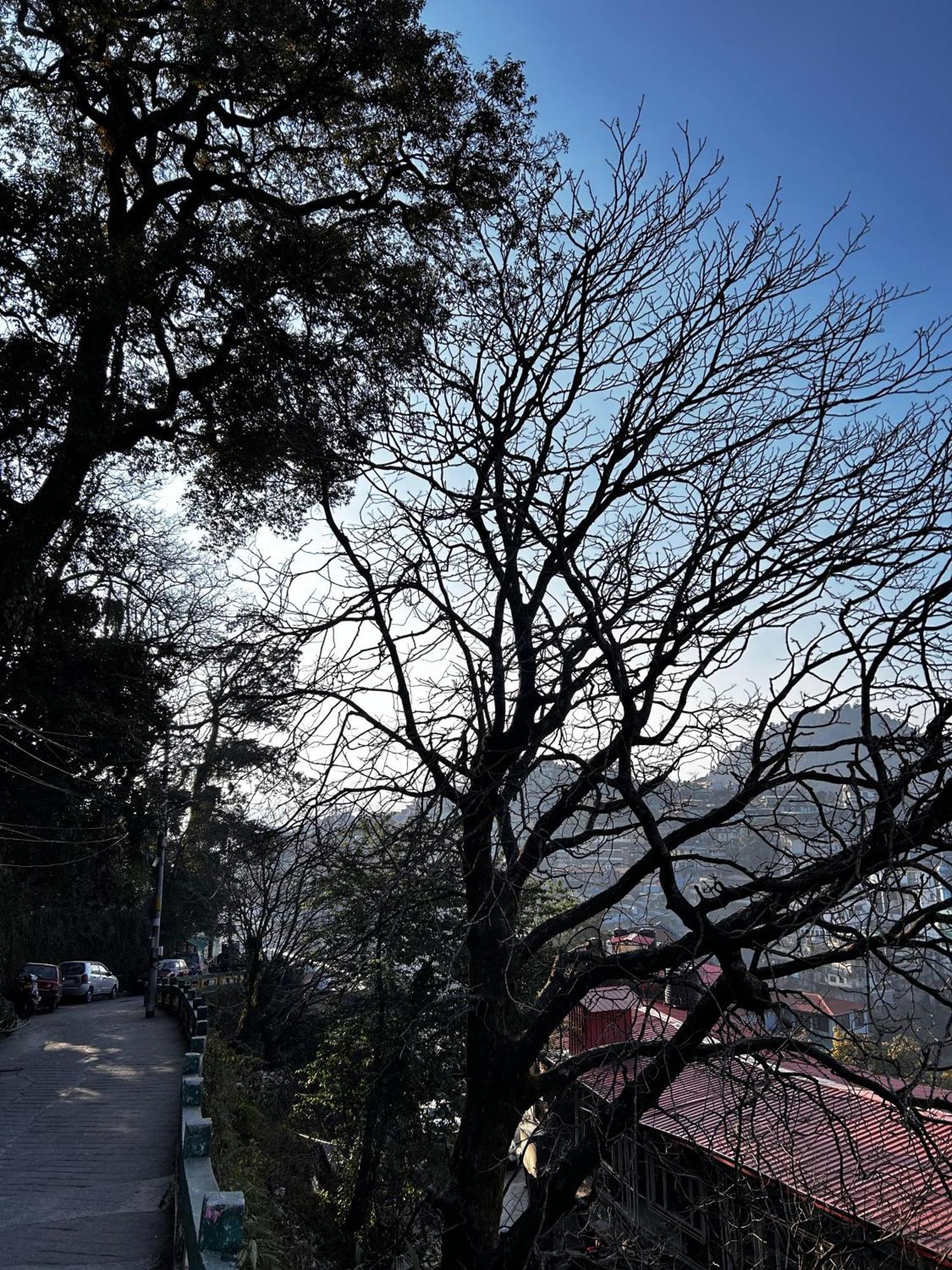 Super Hotel By Perfectstayz Mall Road Mussoorie Exteriör bild